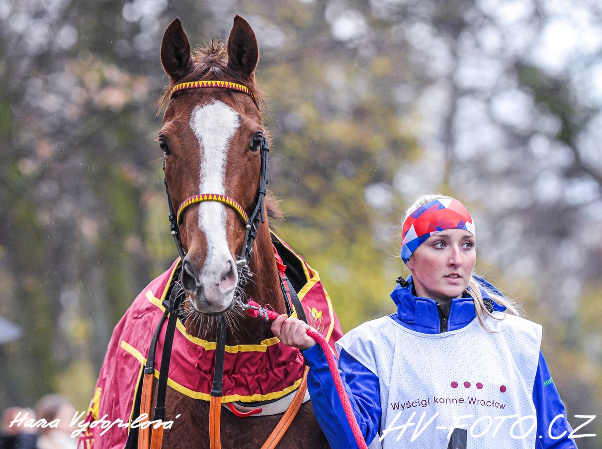 DSC_6166 kopie.jpg